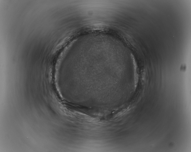 X0000112150916200908281336