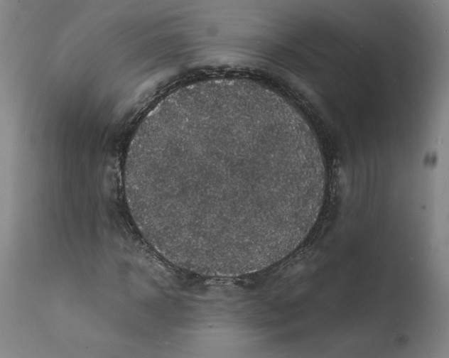 X0000112150918200908281336