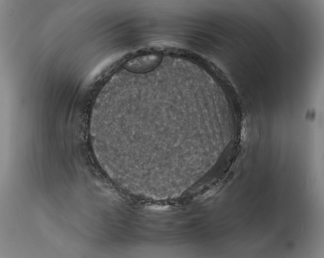 X0000112150919200908281336