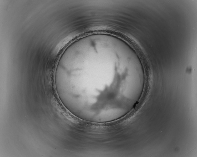 X0000112150921200908281336