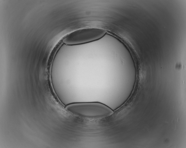 X0000112150924200908281336