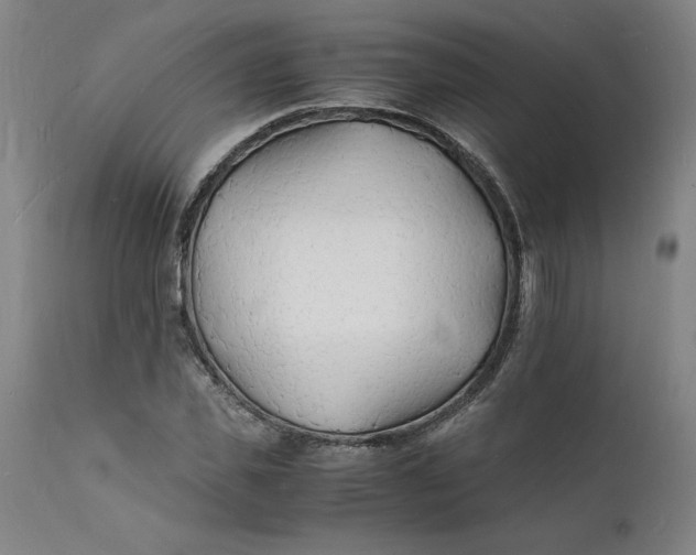 X0000112150925200908281336
