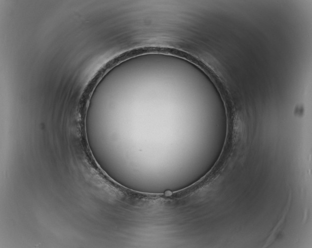 X0000112150926200908281336