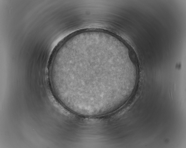 X0000112150928200908281336