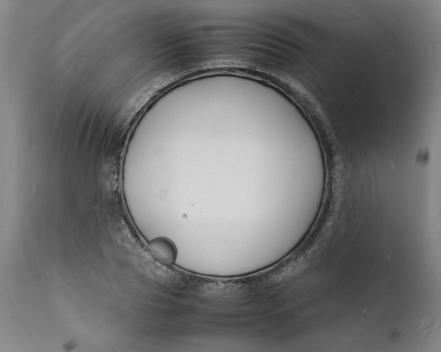 X0000112150929200908281336
