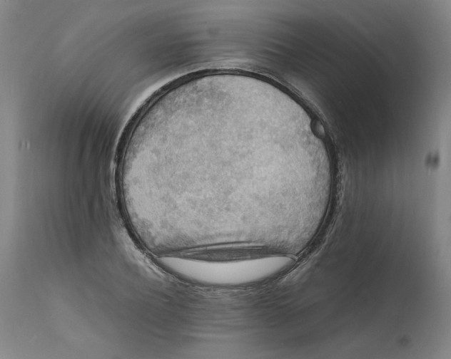 X0000112150932200908281337
