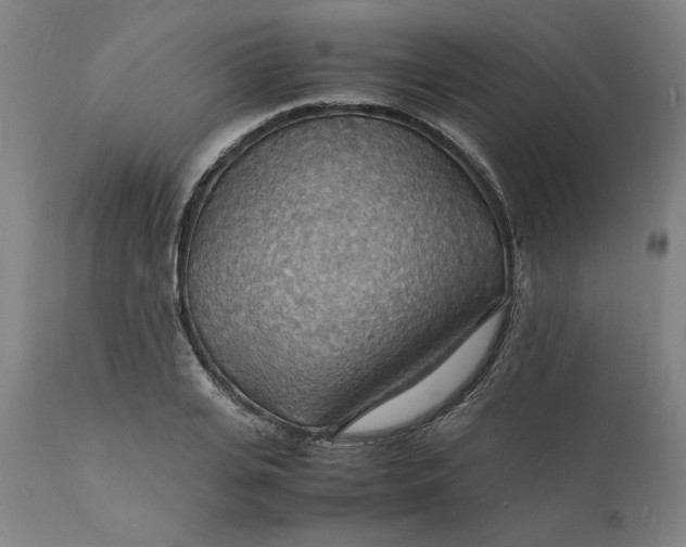 X0000112150935200908281337