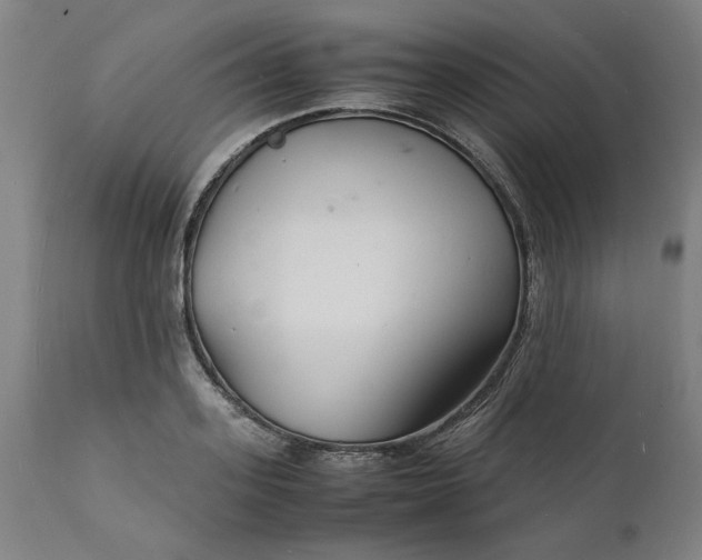 X0000112150939200908281337