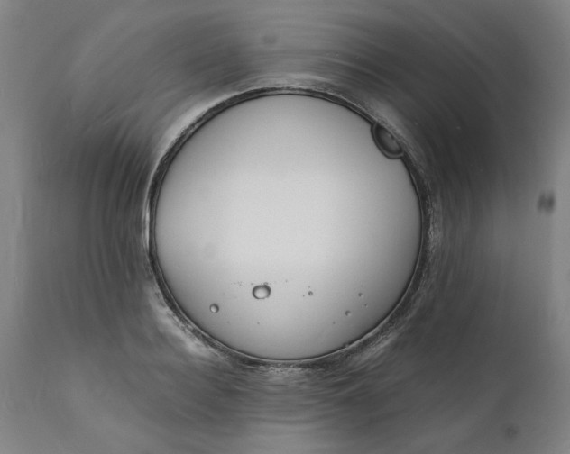 X0000112150940200908281337