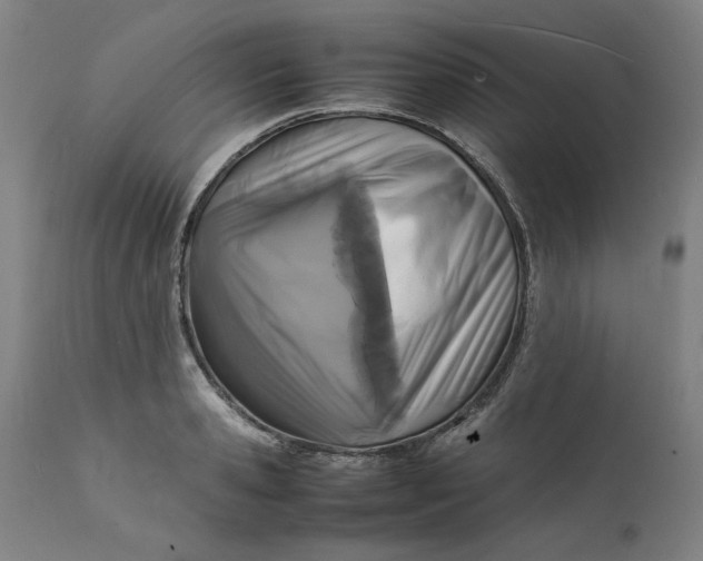 X0000112150941200908281337