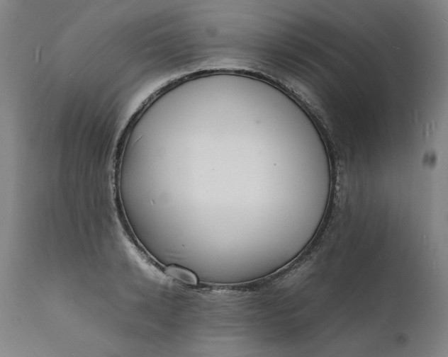 X0000112150942200908281337