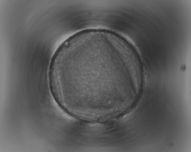 X0000112150943200908281337