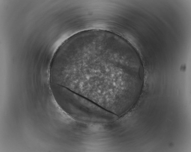 X0000112150944200908281337