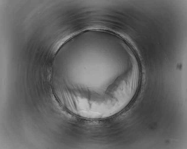 X0000112150945200908281337
