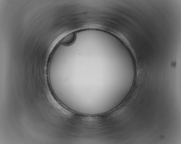 X0000112150947200908281337