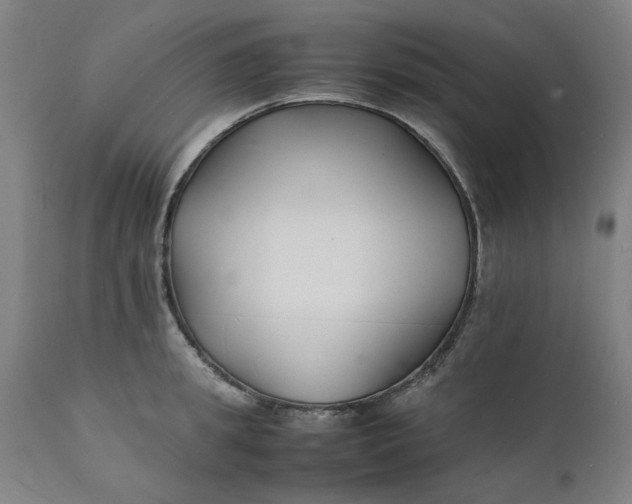 X0000112150949200908281337
