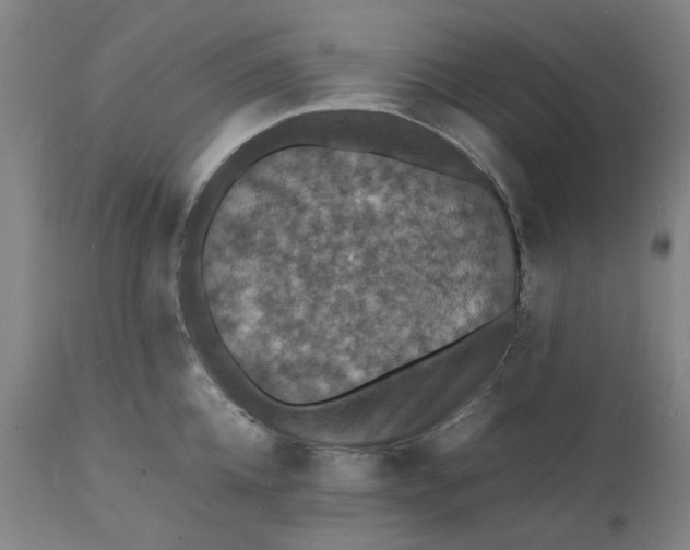 X0000112150952200908281337
