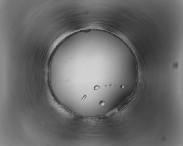 X0000112150955200908281337