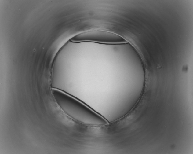 X0000112150956200908281337