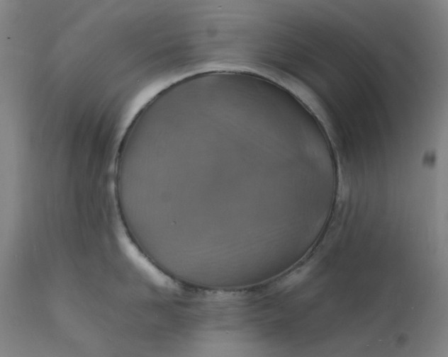X0000112150958200908281337