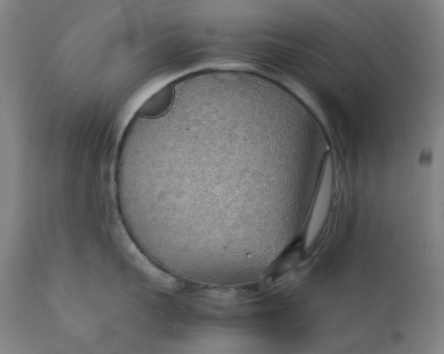 X0000112150959200908281337