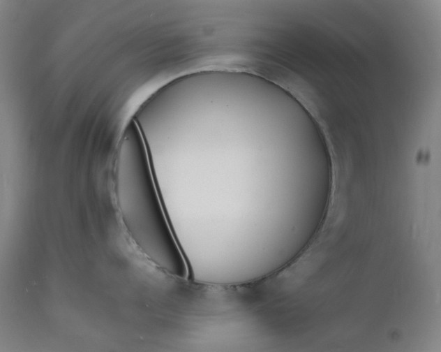 X0000112150960200908281337