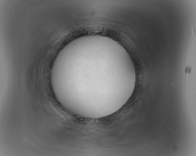 X0000112150961200908281336