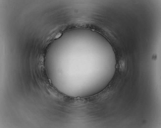 X0000112150964200908281336