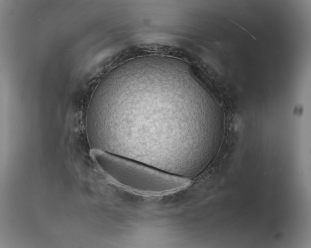 X0000112150965200908281336