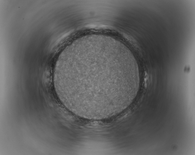 X0000112150966200908281336