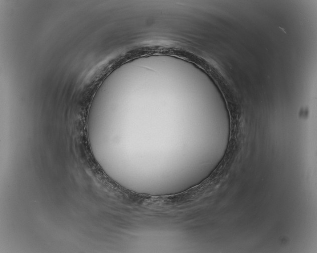X0000112150967200908281336