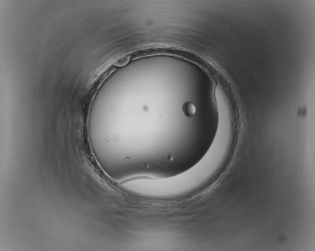 X0000112150969200908281336