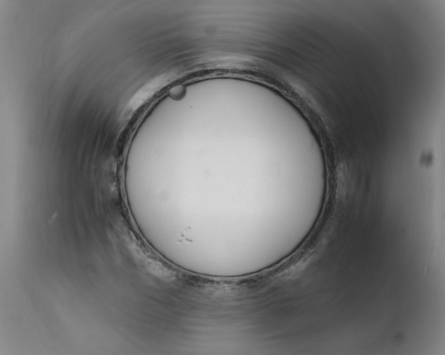 X0000112150970200908281336
