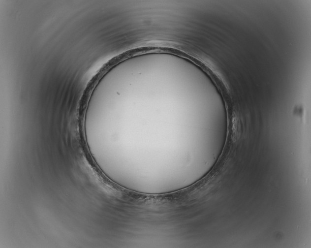 X0000112150972200908281336