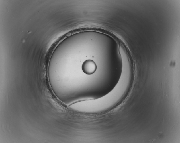 X0000112150973200908281336