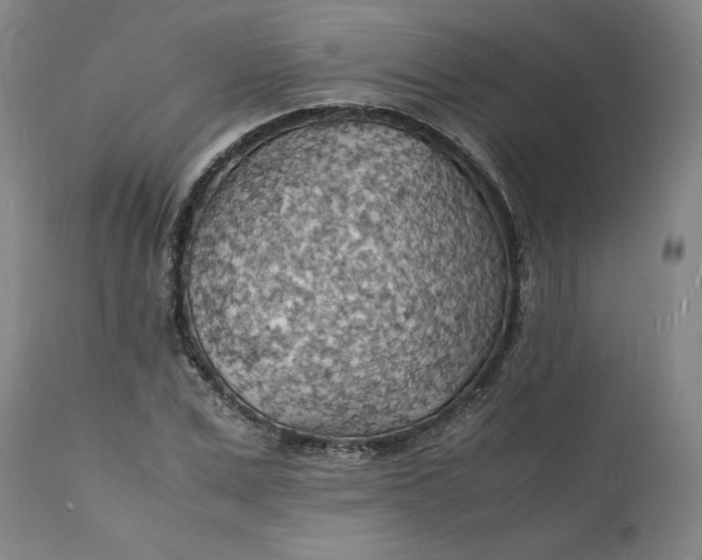 X0000112150975200908281336