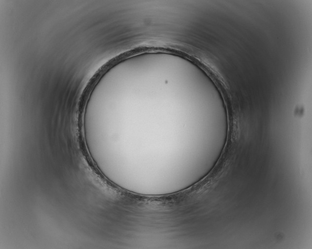 X0000112150976200908281336