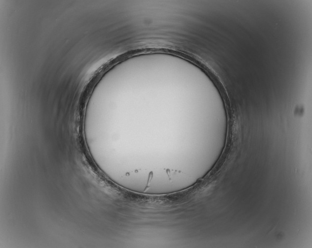 X0000112150979200908281336