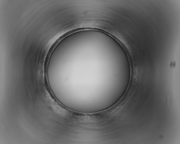 X0000112150980200908281336