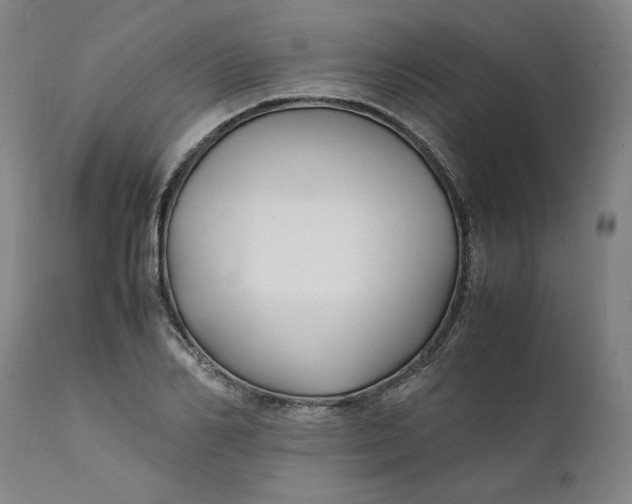 X0000112150982200908281336