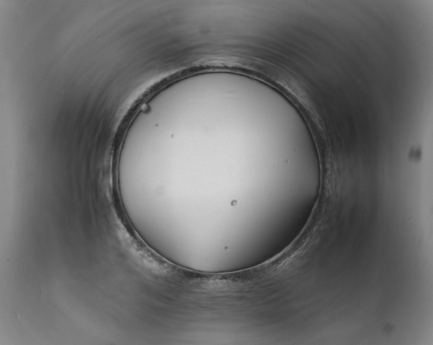X0000112150984200908281336