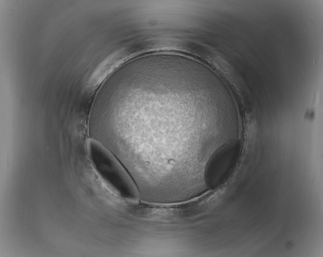 X0000112150985200908281336