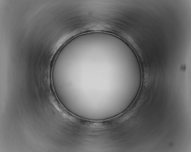 X0000112150986200908281336