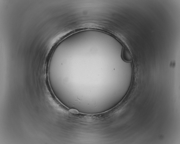 X0000112150987200908281336