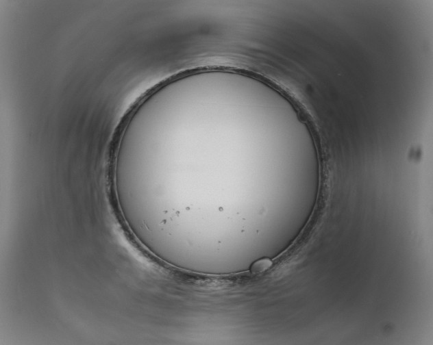X0000112150991200908281336
