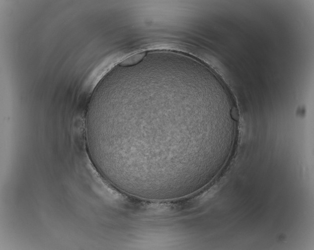 X0000112150993200908281336