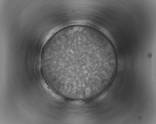 X0000112150994200908281336