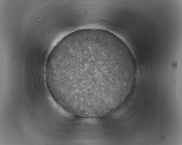 X0000112150998200908281336