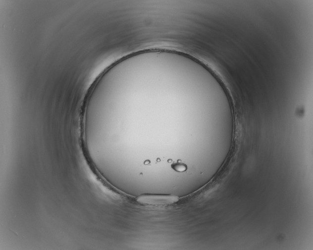 X0000112150999200908281336