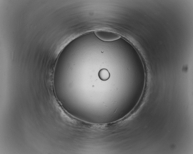 X0000112151001200908281336